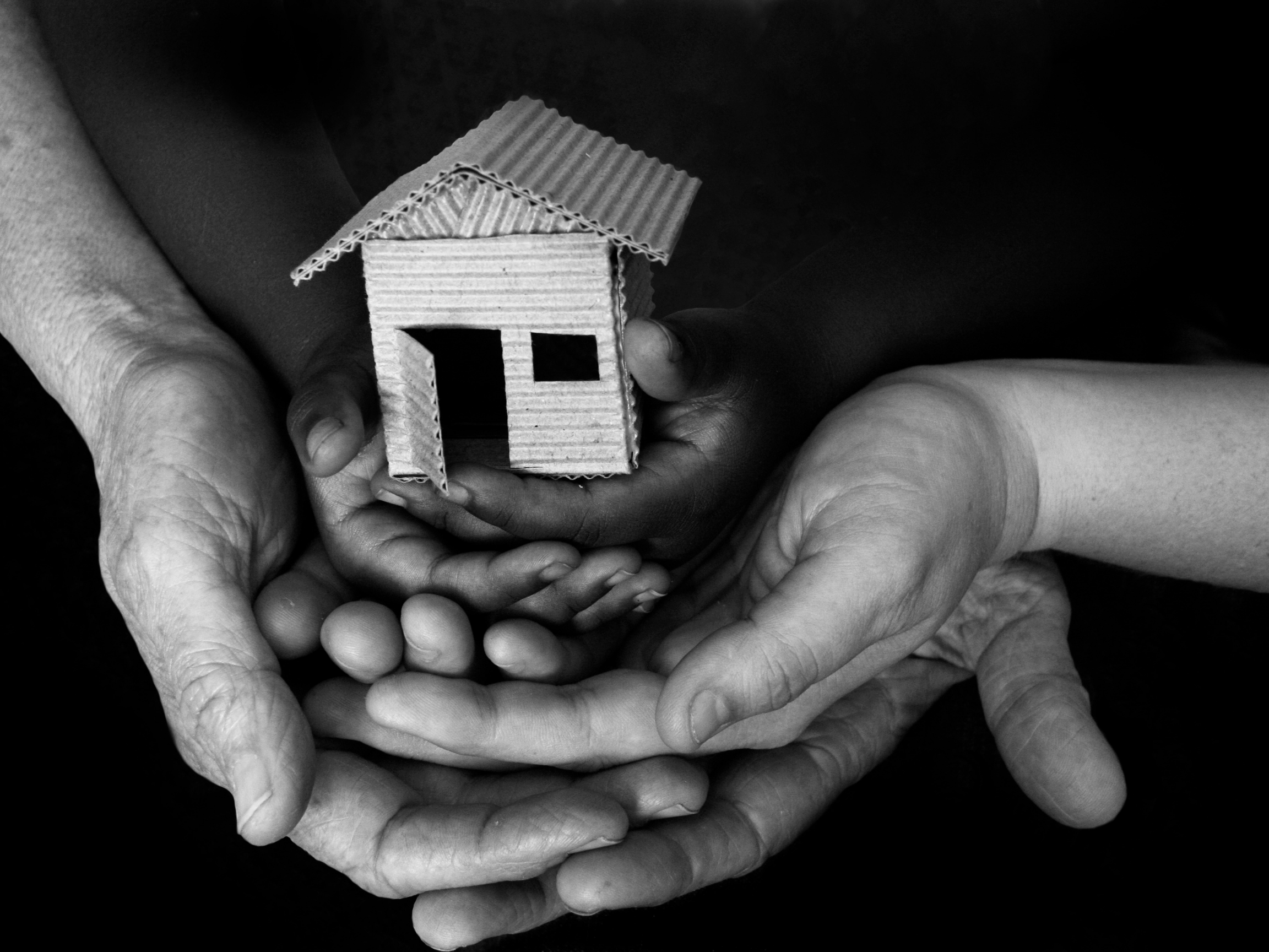 General image of multiple hands holding a small home.